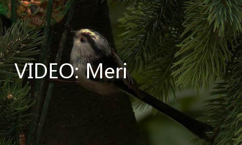 VIDEO: Meriah Perayaan Hari Orang Mati di Meksiko